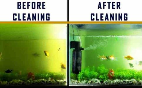 Aquarium Filter Noise Reduction